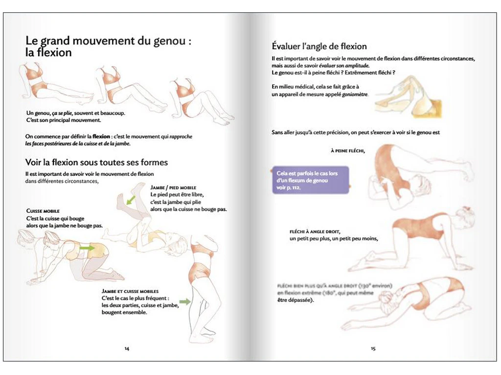 Anatomie Pour Le Yoga - Genou Et Yoga Blandine Calais-Germain 2 Anatomie Pour Le Yoga - Genou Et Yoga Blandine Calais-Germain – Image 2