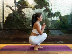 Bloc De Yoga Incliné Slanting Plank Liège 60cm X 9cm X 3cm 1 Bloc 9 Bloc De Yoga Incliné Slanting Plank Liège 60cm X 9cm X 3cm 1 Bloc -Boutique De Yoga bloc de yoga incline slanting plank liege 16686046436374e2e353418