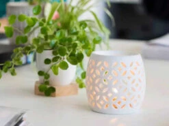 Diffuseur Porcelaine Photophore Luciole 8,8 X 8,6 Cm 8 Diffuseur Porcelaine Photophore Luciole 8,8 X 8,6 Cm -Boutique De Yoga diffuseur porcelaine photophore luciole 1700563740655c8b1cc34e3