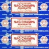 Nag Champa 100gr X 6 Boites