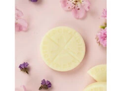 Palets Fondants Câline 6 Palets -Boutique De Yoga palets fondants caline 16710209336399c1850e8a4