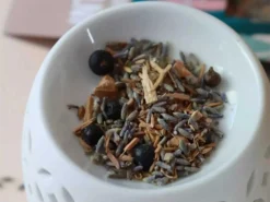 Plantes à Rituels - Intuition 20g -Boutique De Yoga plantes a rituels intuition 1700571197655ca83d6e457