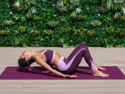 Roue Yoga Tri-Wheel - Prune/Noir L38cm X L13cm X H20cm -Boutique De Yoga roue yoga tri wheel prune noir 169097912764ca4b377b328