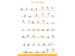 Roue Yoga Tri-Wheel - Prune/Noir L38cm X L13cm X H20cm -Boutique De Yoga roue yoga tri wheel prune noir 169097945564ca4c7f52357