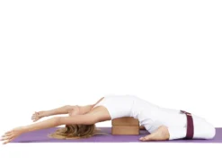 Sangle De Yoga Iyengar 100% Coton Bio 3cm X 200cm -Boutique De Yoga sangle de yoga iyengar 100 coton bio 3cm x 200cm 5b8dc8e43379f