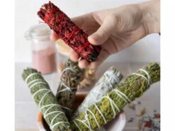 Tresse De Cèdre 15cm -Boutique De Yoga tresse de cedre 1700574010655cb33a9522e