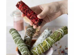 Tresse De Sauge Sang - Dragon 10cm -Boutique De Yoga tresse de sauge sang dragon 1700573583655cb18fc9442