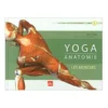 Yoga Anatomie Les Muscles