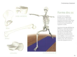 Yoga Anatomie Les Muscles -Boutique De Yoga yoga anatomie 15827926235e577fafa3ef5