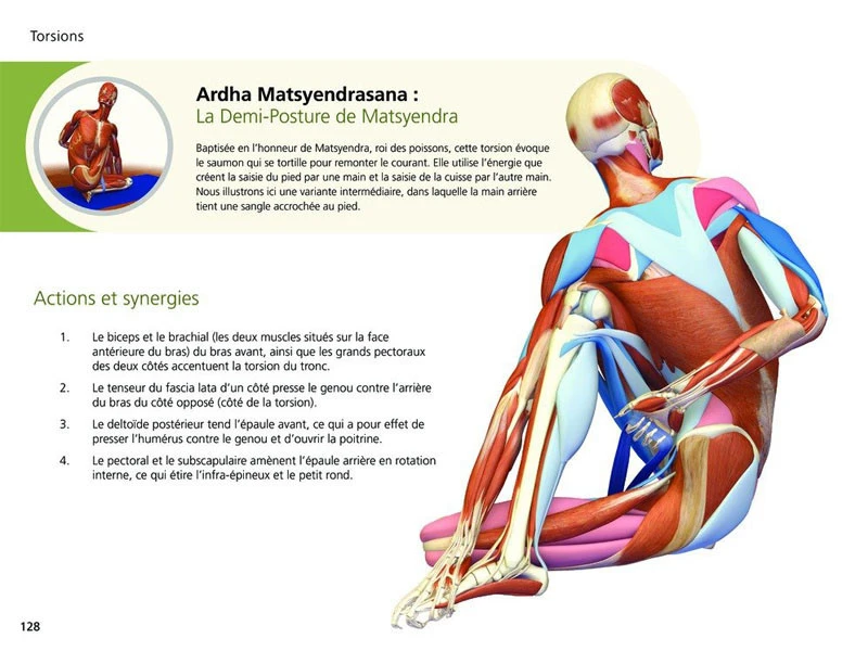 Yoga Anatomie Les Postures 2 Yoga Anatomie Les Postures – Image 2