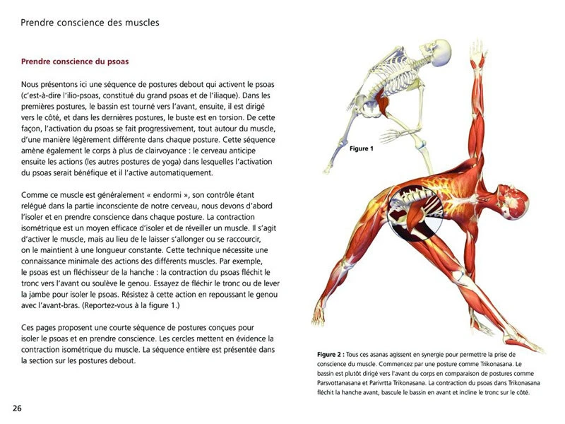 Yoga Anatomie Les Postures 4 Yoga Anatomie Les Postures – Image 4
