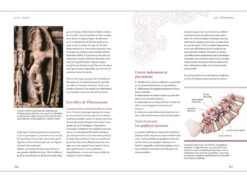 Yoga Perfectionnement Docteur Ronald Steiner / Anna Trökes 6 Yoga Perfectionnement Docteur Ronald Steiner / Anna Trökes -Boutique De Yoga yoga perfectionnement 15827314015e569089916dd