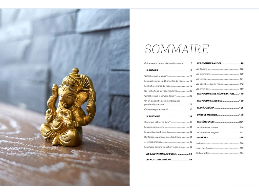 Yoga Vinyasa - L'éloge Du Souffle Amélie Annoni - Alex Blake 2 Yoga Vinyasa - L'éloge Du Souffle Amélie Annoni - Alex Blake – Image 2